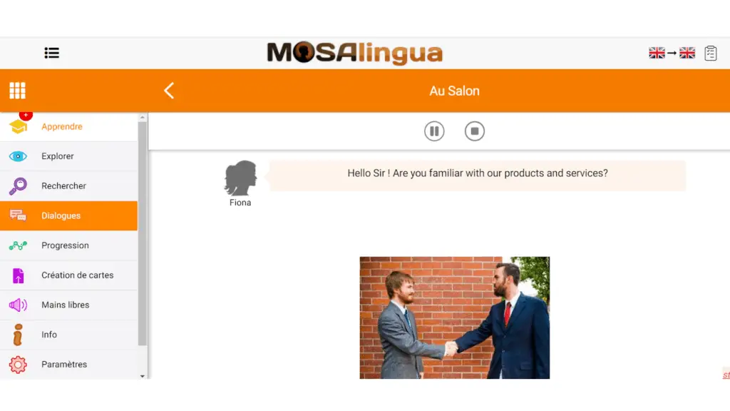 MosaLingua app