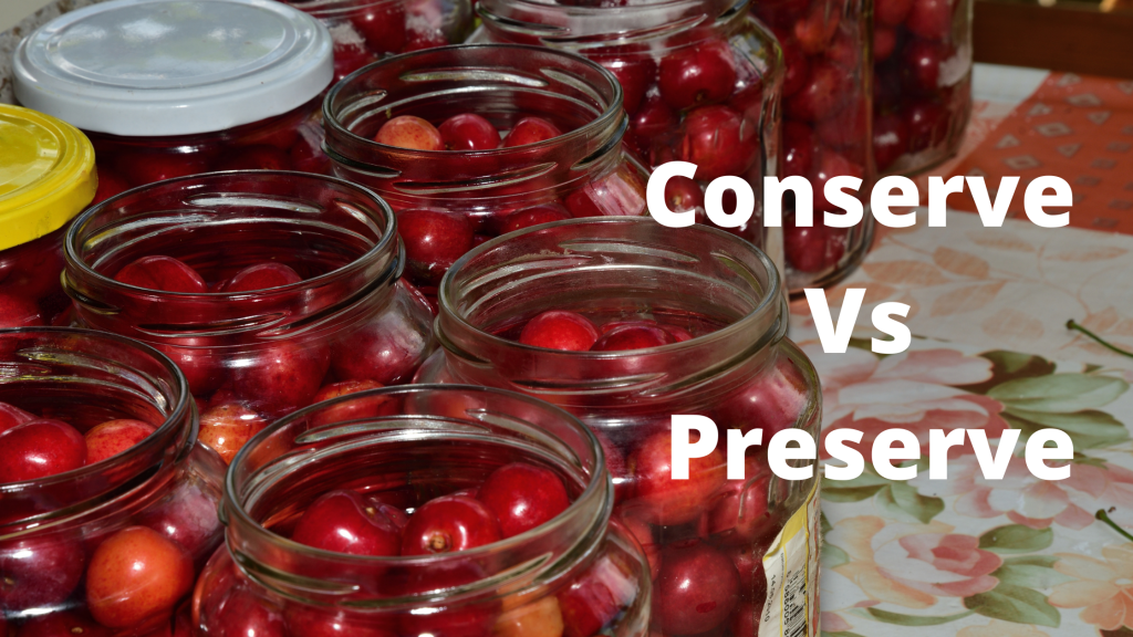 Conserve vs Preserve?