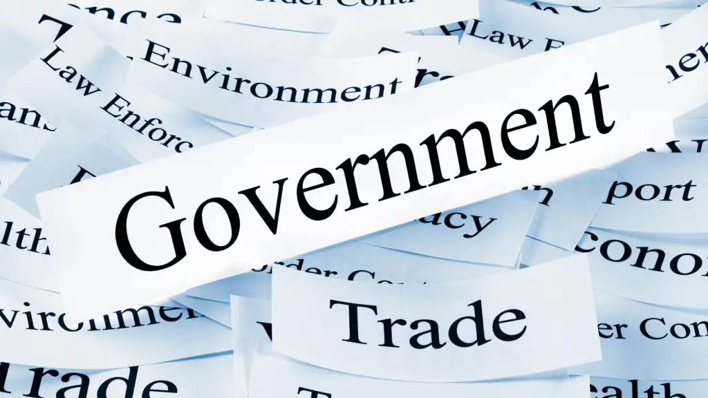 government or goverment